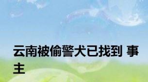 云南被偷警犬已找到 事主