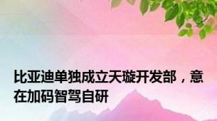 比亚迪单独成立天璇开发部，意在加码智驾自研