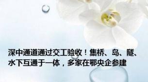 深中通道通过交工验收！集桥、岛、隧、水下互通于一体，多家在鄂央企参建