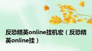 反恐精英online挂机宏（反恐精英online挂）