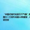 “中国式现代化的万千气象”网络名人甘肃行丨兰州牛肉面12种面型，总有一款适合你