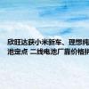 欣旺达获小米新车、理想纯电等电池定点 二线电池厂靠价格拼出路