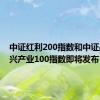 中证红利200指数和中证战略新兴产业100指数即将发布