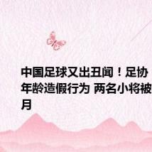 中国足球又出丑闻！足协：因存在年龄造假行为 两名小将被禁赛2个月