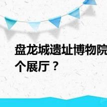 盘龙城遗址博物院有几个展厅？