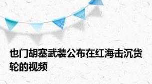 也门胡塞武装公布在红海击沉货轮的视频