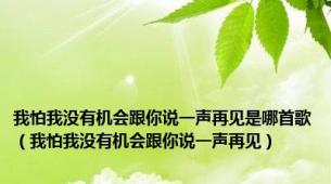 我怕我没有机会跟你说一声再见是哪首歌（我怕我没有机会跟你说一声再见）