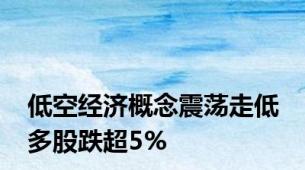 低空经济概念震荡走低 多股跌超5%