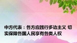 中方代表：各方应践行多边主义 切实保障各国人民享有各类人权