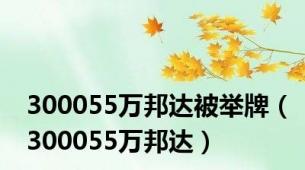 300055万邦达被举牌（300055万邦达）