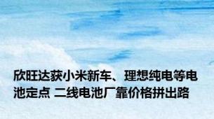 欣旺达获小米新车、理想纯电等电池定点 二线电池厂靠价格拼出路