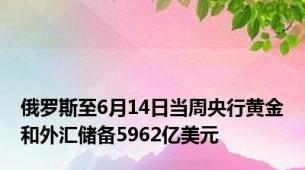 俄罗斯至6月14日当周央行黄金和外汇储备5962亿美元