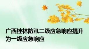 广西桂林防汛二级应急响应提升为一级应急响应