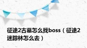 征途2古墓怎么找boss（征途2迷踪林怎么去）