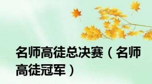 名师高徒总决赛（名师高徒冠军）