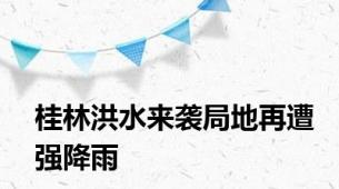 桂林洪水来袭局地再遭强降雨