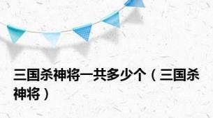 三国杀神将一共多少个（三国杀神将）