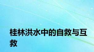 桂林洪水中的自救与互救