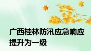 广西桂林防汛应急响应提升为一级