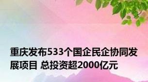 重庆发布533个国企民企协同发展项目 总投资超2000亿元