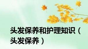 头发保养和护理知识（头发保养）