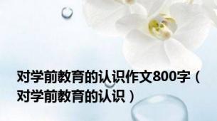 对学前教育的认识作文800字（对学前教育的认识）