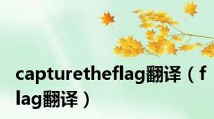 capturetheflag翻译（flag翻译）