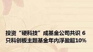 投资“硬科技”成基金公司共识 6只科创板主题基金年内浮盈超10%