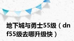 地下城与勇士55级（dnf55级去哪升级快）