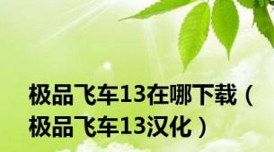 极品飞车13在哪下载（极品飞车13汉化）