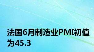 法国6月制造业PMI初值为45.3