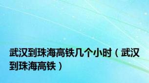 武汉到珠海高铁几个小时（武汉到珠海高铁）