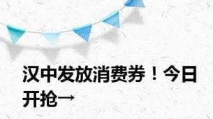 汉中发放消费券！今日开抢→