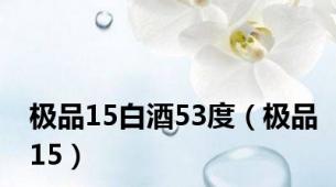 极品15白酒53度（极品15）