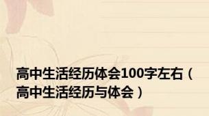 高中生活经历体会100字左右（高中生活经历与体会）