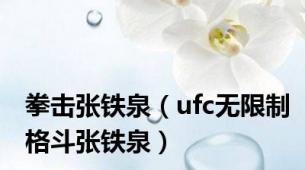 拳击张铁泉（ufc无限制格斗张铁泉）