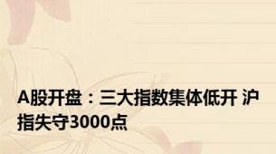 A股开盘：三大指数集体低开 沪指失守3000点