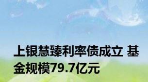 上银慧臻利率债成立 基金规模79.7亿元