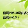 蓝调NV10现在多少钱（蓝调nv10）