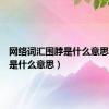 网络词汇围脖是什么意思（围脖是什么意思）