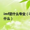 imf是什么专业（imf是什么）