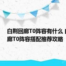 白荆回廊T0阵容有什么 白荆回廊T0阵容搭配推荐攻略