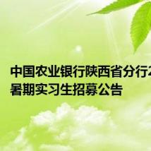 中国农业银行陕西省分行2024年暑期实习生招募公告