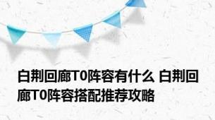 白荆回廊T0阵容有什么 白荆回廊T0阵容搭配推荐攻略