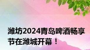 潍坊2024青岛啤酒畅享节在潍城开幕！