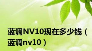 蓝调NV10现在多少钱（蓝调nv10）