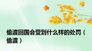 偷渡回国会受到什么样的处罚（偷渡）