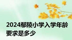 2024鄢陵小学入学年龄要求是多少