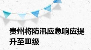 贵州将防汛应急响应提升至Ⅲ级