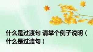 什么是过渡句 请举个例子说明（什么是过渡句）